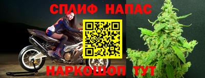 PSILOCYBIN Можга