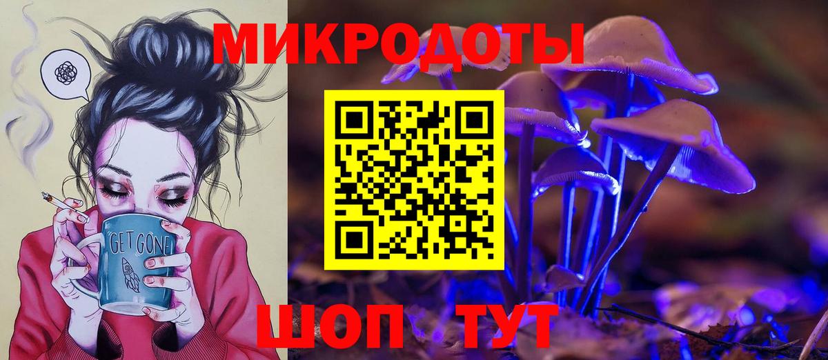 Псилоцибиновые грибы Psilocybe Серпухов